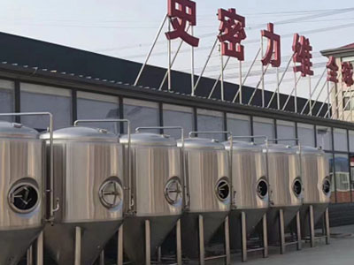 北安精酿啤酒设备厂—市场规模与跨界新需求